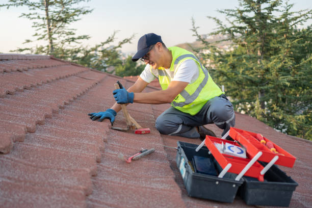 Professional Roofing Contractor in Linda, CA